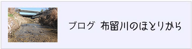 bn_blog