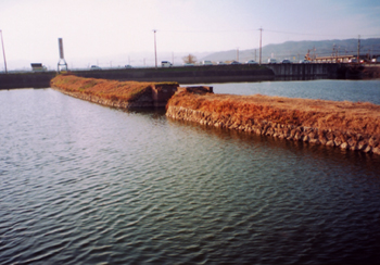 廃線跡(奈良県生駒郡安堵町　木戸池)