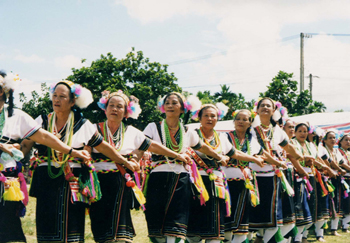 豊年祭で踊りを披露するアミの女性達